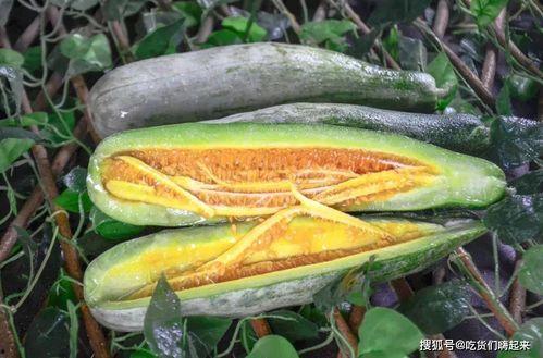 网红吃瓜在哪买,揭秘热门网红瓜源购买攻略 第2张 网红吃瓜在哪买,揭秘热门网红瓜源购买攻略 第2张